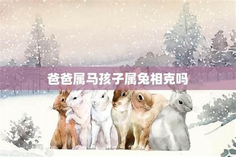 属马男人和属兔女人相配吗