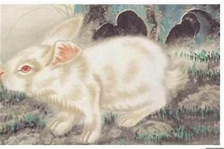 属兔1987年有孤寡命吗 一生有几段婚姻？