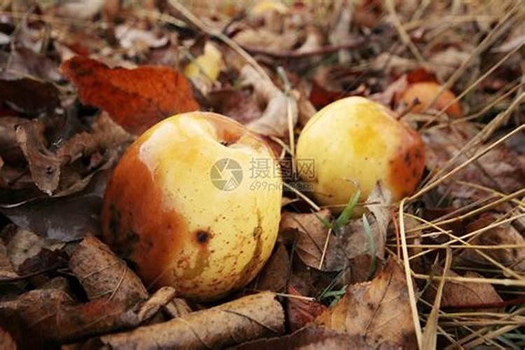 梦见别人离婚我去劝解是什么意思