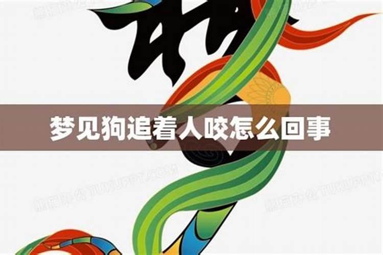 梦见狗追着咬我是什么意思 什么征兆
