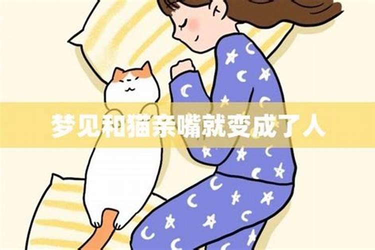 梦见母猫亲我的预兆