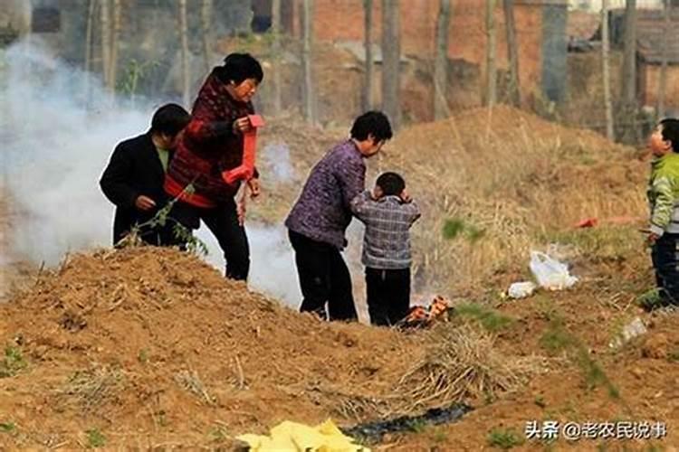 生肖虎1950年2025年运势如何 生肖虎1950年2025年全年运势