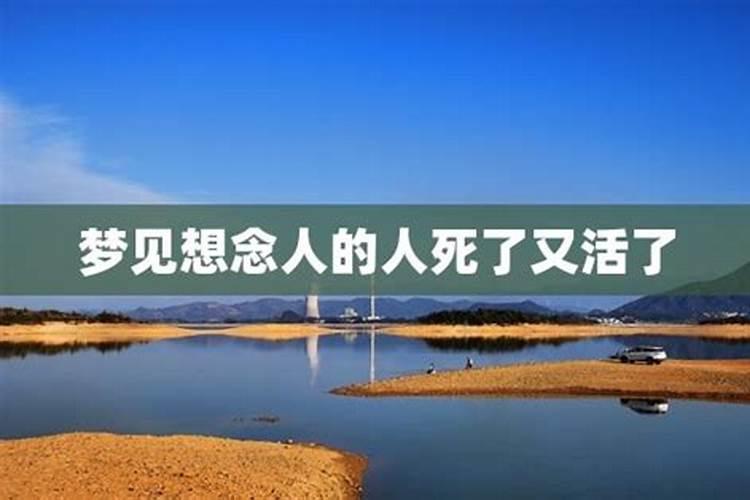梦到很久不联系的朋友死了(梦到很久不联系的朋友死了什么预兆)