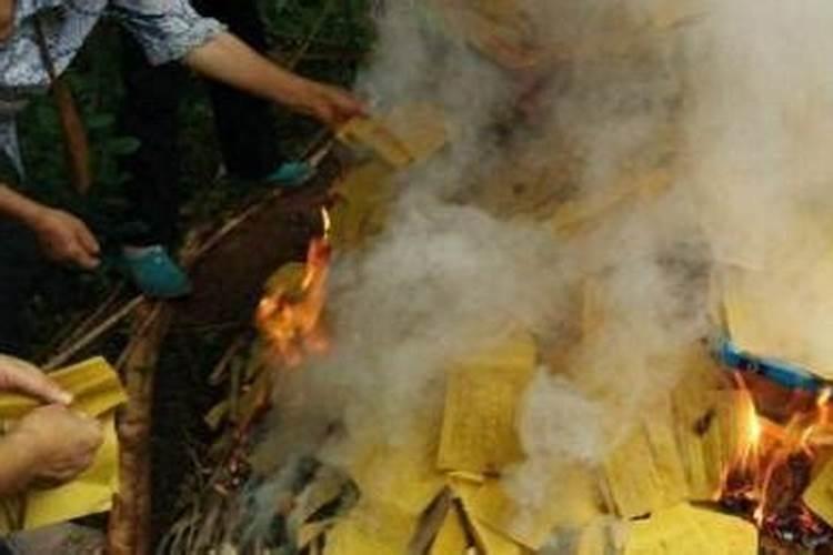梦见被猛兽追而爬树
