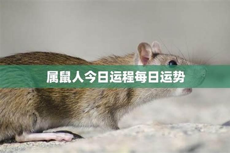 事业运不好但财运好什么意思
