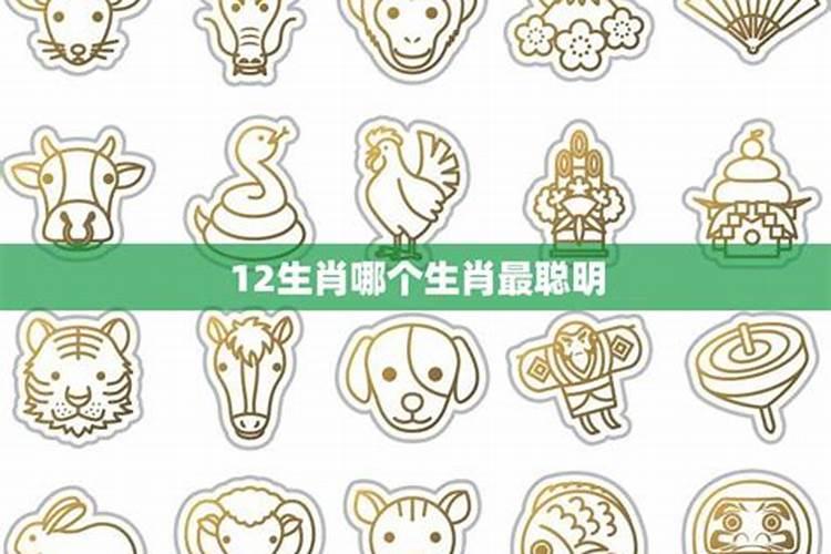 事业运差是因为能力不行吗,事业运不好怎么办啊？