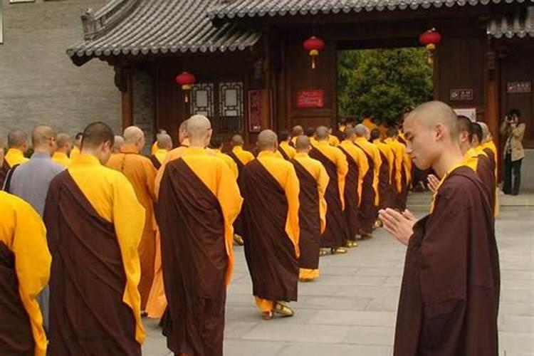 乙酉日柱解析:命理特征与运势分析