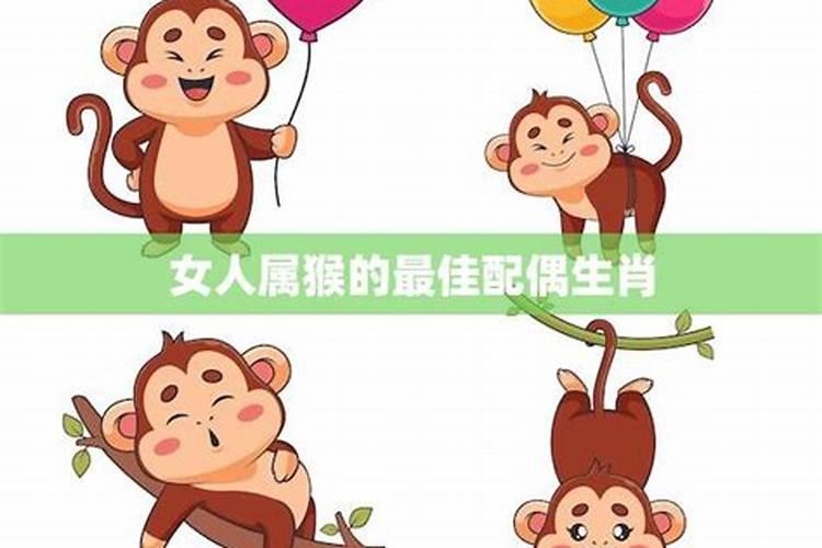 八二年农历八月二十四日找什么属相的合适婚姻