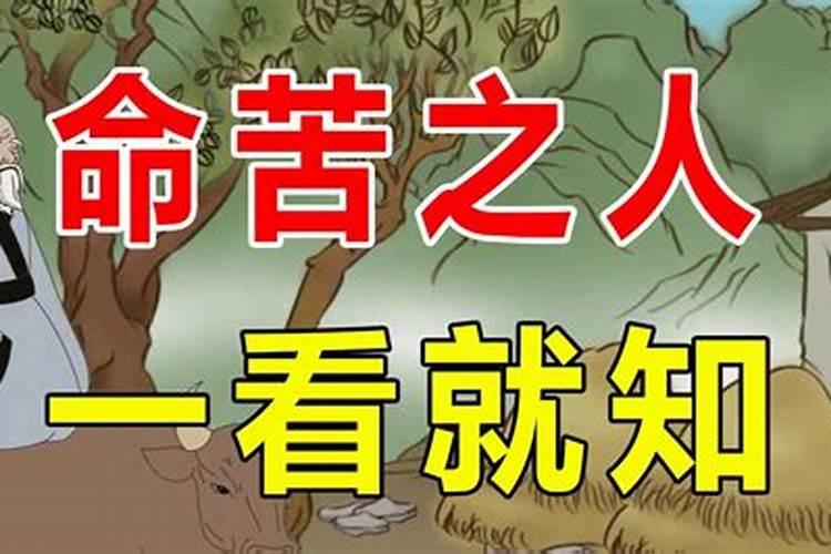 什么面相的女人命苦