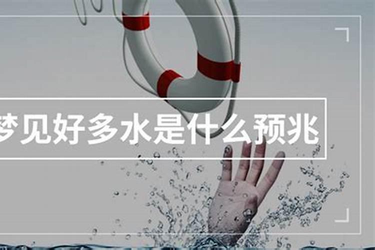 农历生日算命农历初一出生日的命运解析