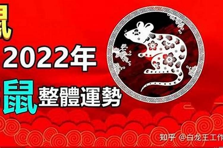 2025鼠年运程1984年出生