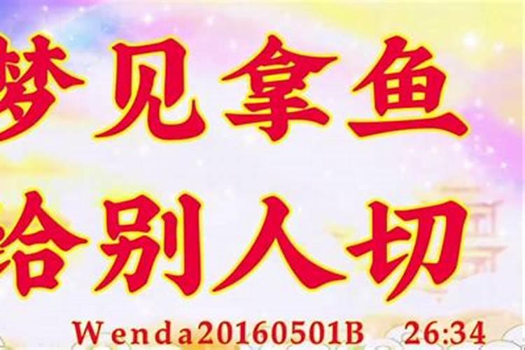 梦见鱼片好嘛