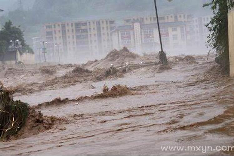 梦见洪水和大鱼
