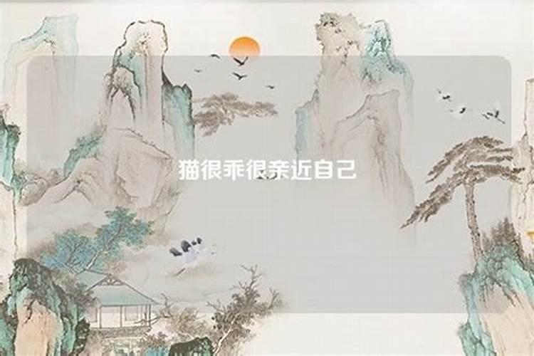 黄历中提到的动土和造屋有什么区别？急盼回复
