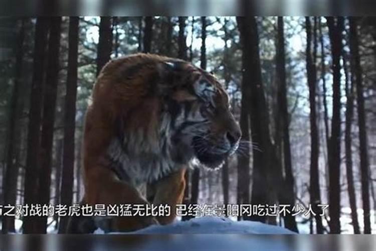 梦到老虎追我但逃脱了