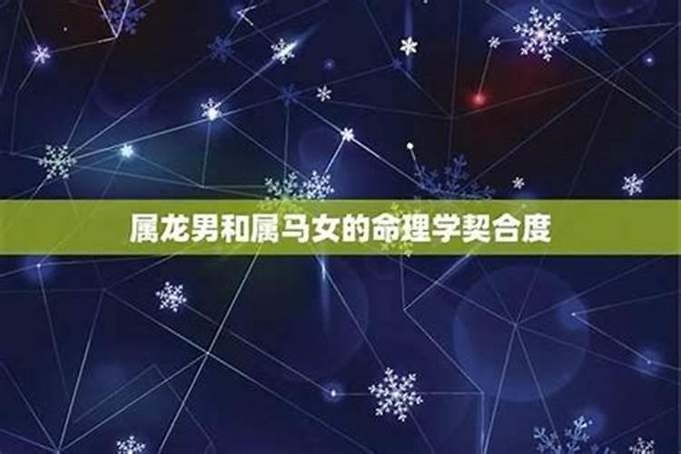 男龙和女马八字相合吗