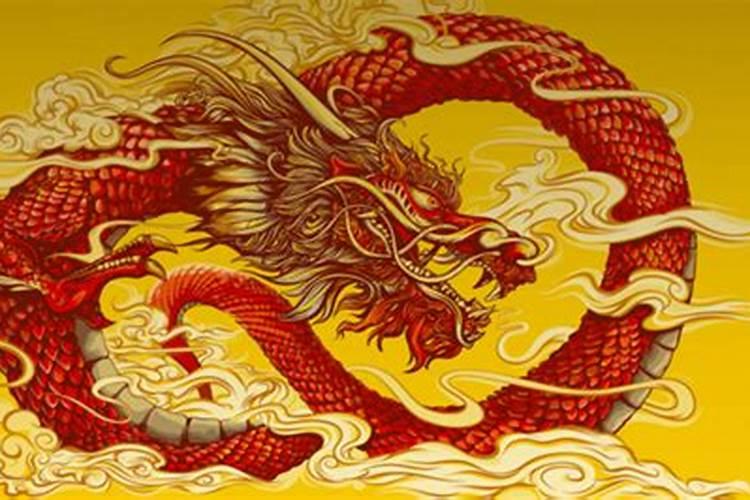 属马和属龙命合吗