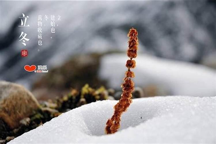 立冬节气养生的好处