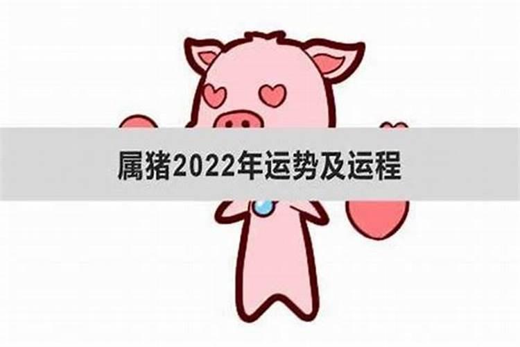 2025年属猪的全年运势