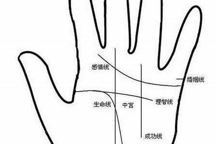 我想知道手掌上的线那条是生命线、那条是爱情线、那条是事业线