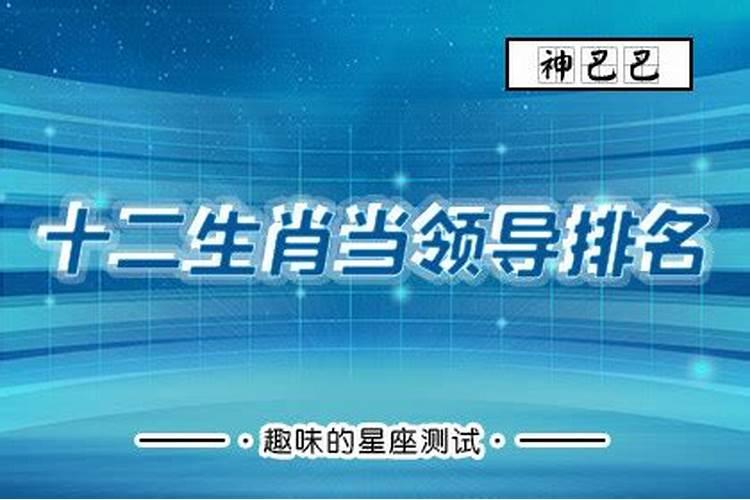 成功人士最多的属相