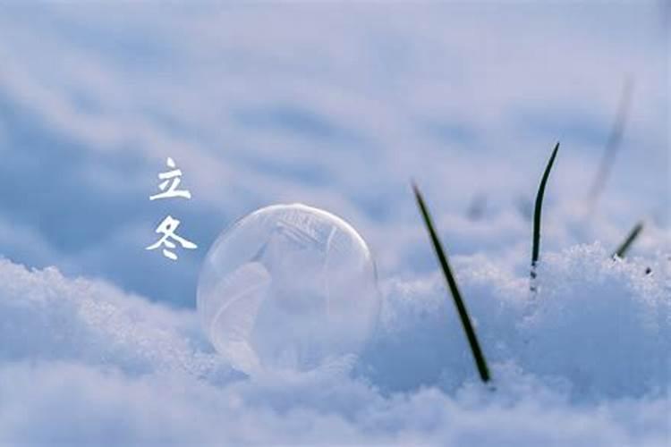白头发拔一根长十根吗