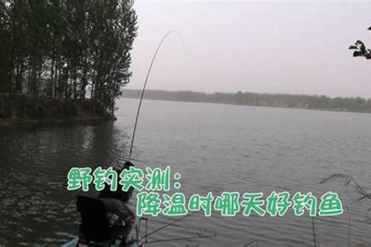 立冬后哪天适合钓鱼