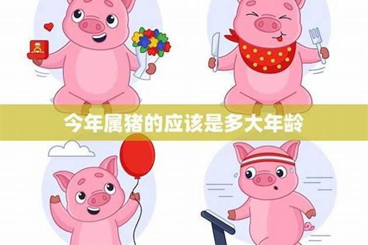 83年属猪人三大坎