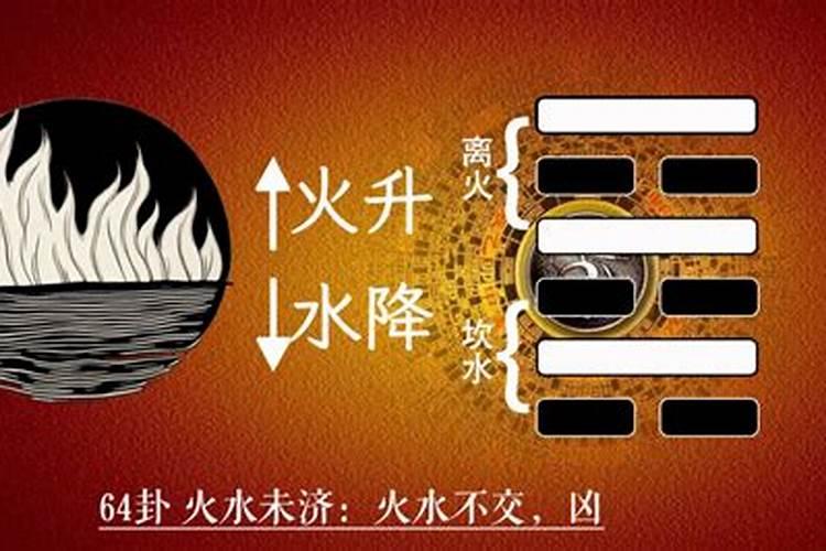 生辰八字算命1989年7月初一卯时女命