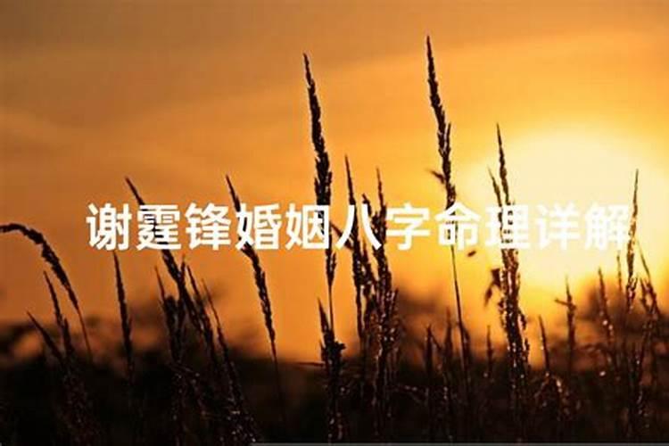 金星试窦儿的典故