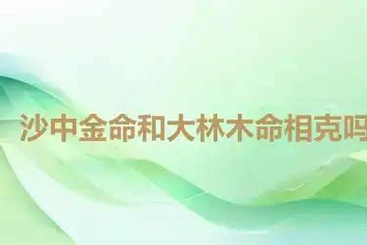八字合婚 海中金命和钗钏金命婚配好不好？