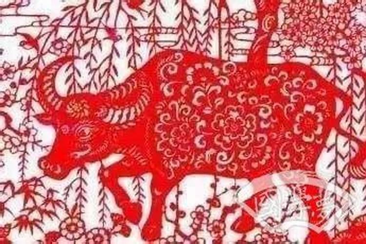 梦见老婆被判自己,和别男人在一起,我把他们杀了