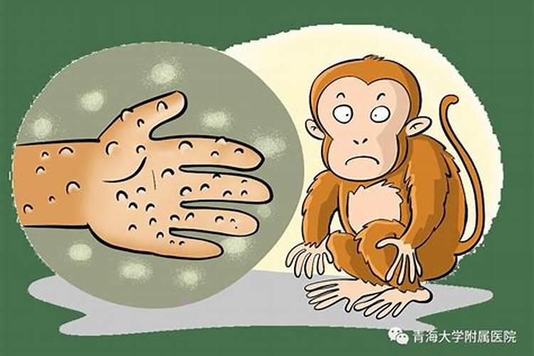 糖面娃娃代表什么生肖