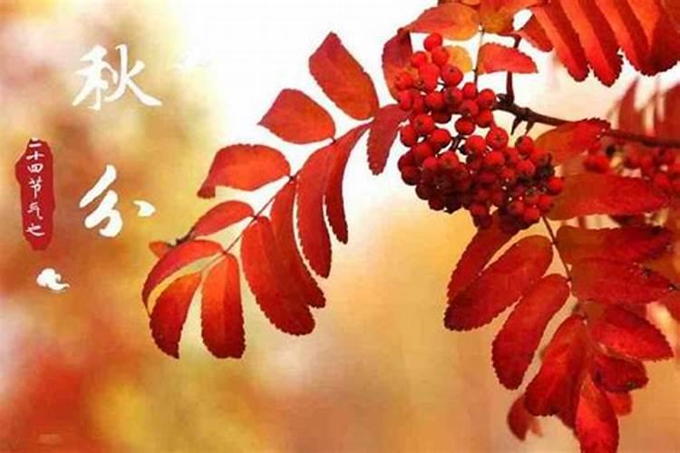 周公解梦梦见两条蛇是什么意思(周公解梦梦见蛇是什么预兆)