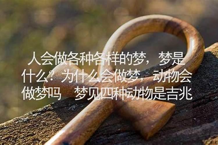 梦见很多动物是什么预兆