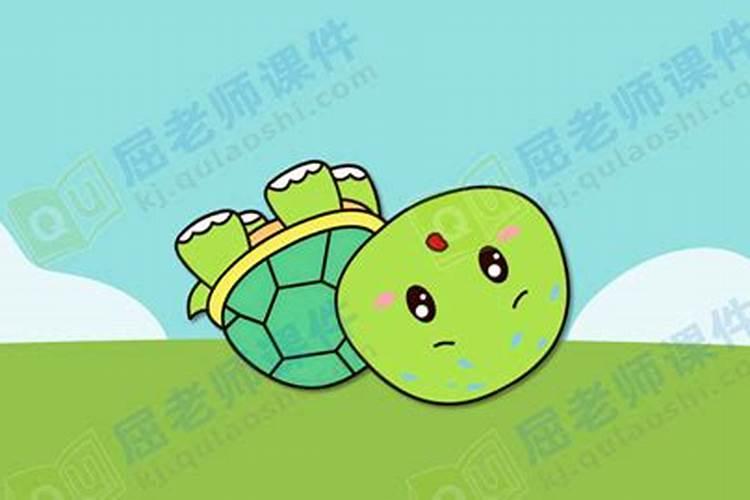 梦见我抱着一只大乌龟的预兆
