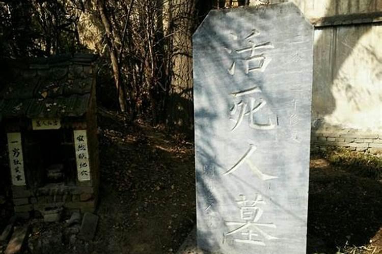属狗6月份运势如何2025年
