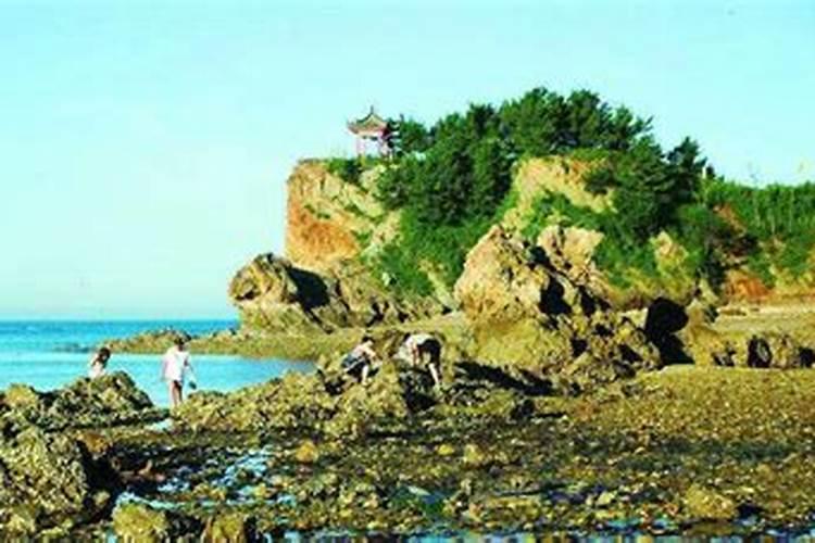 大连周边海岛旅游攻略,大连周边好玩的海岛