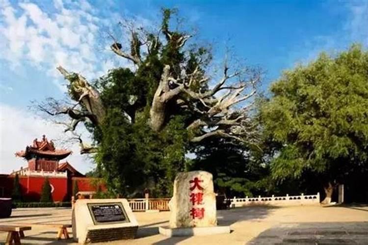 为什么古人认为冬至很重要