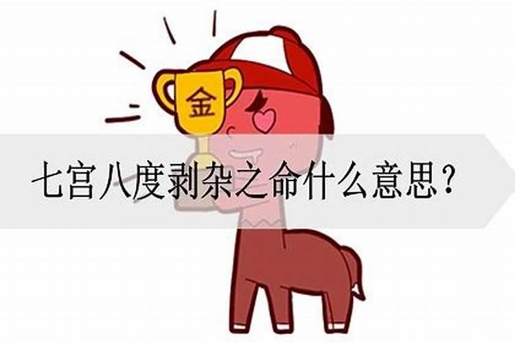 74年虎女一生的婚姻,74年虎女和82年狗男婚姻幸福吗？