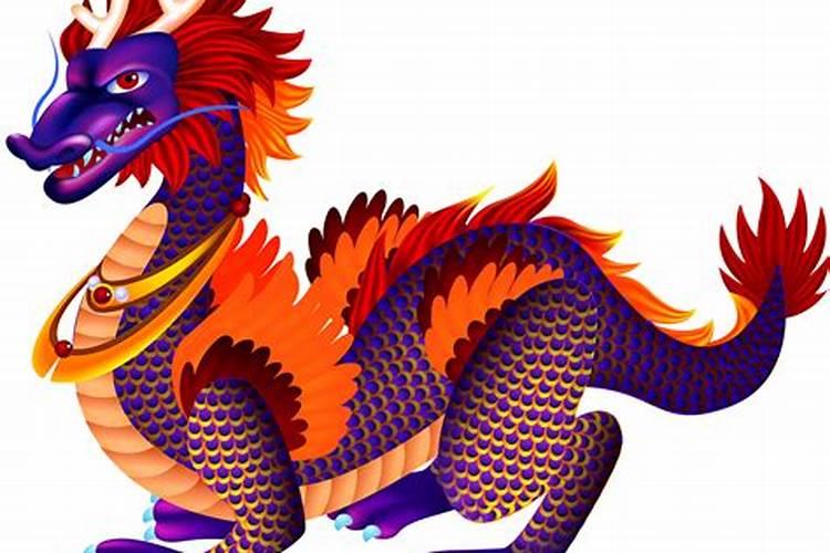 女马和男龙能不能在一起