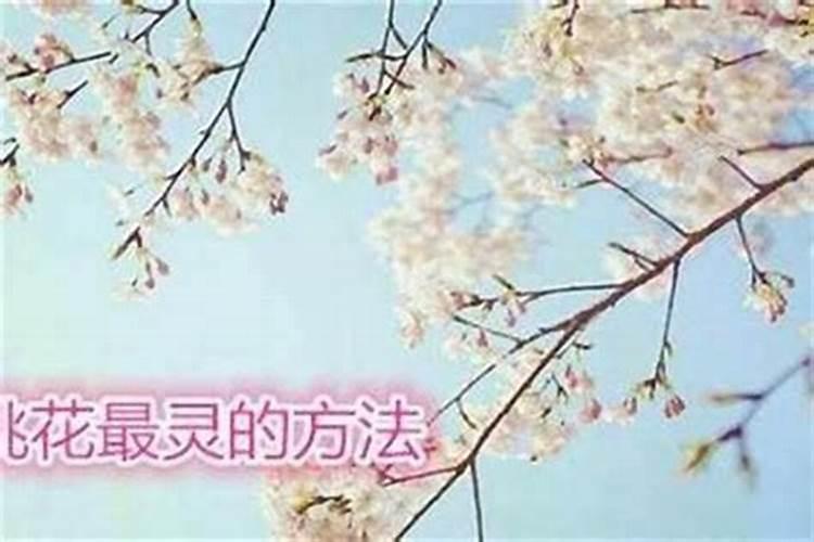 属龙女和属兔男的婚姻配吗
