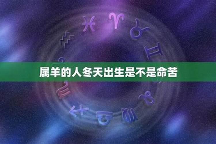 79年10月24日寅时出生女命