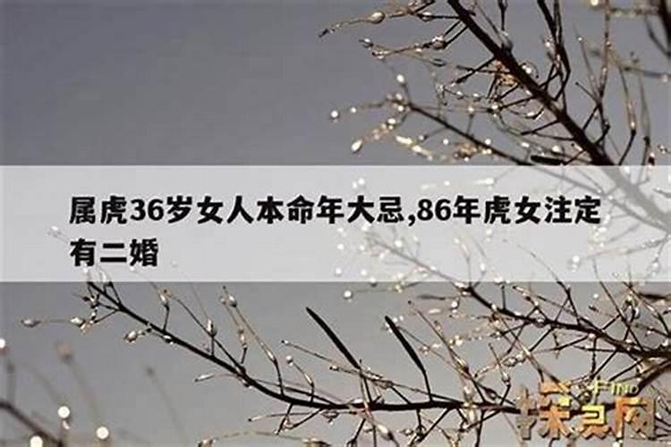 梦见和男朋友前妻亲密聊天的预兆