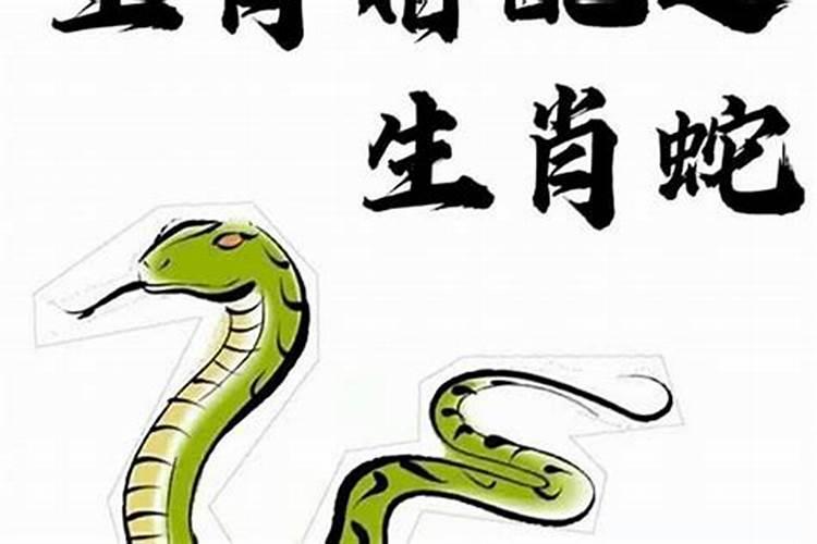 属蛇的属相婚配表,属蛇和哪个属相结婚好？
