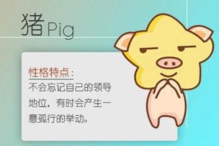 猴子和什么相配？