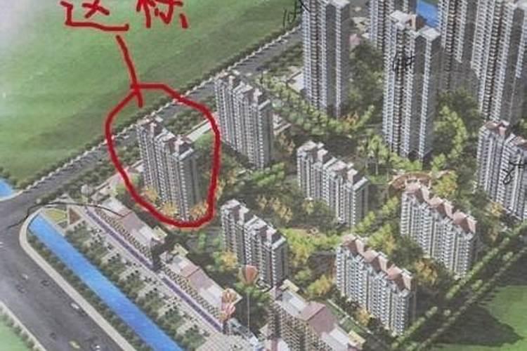 梦见死去的邻居复活了的预兆