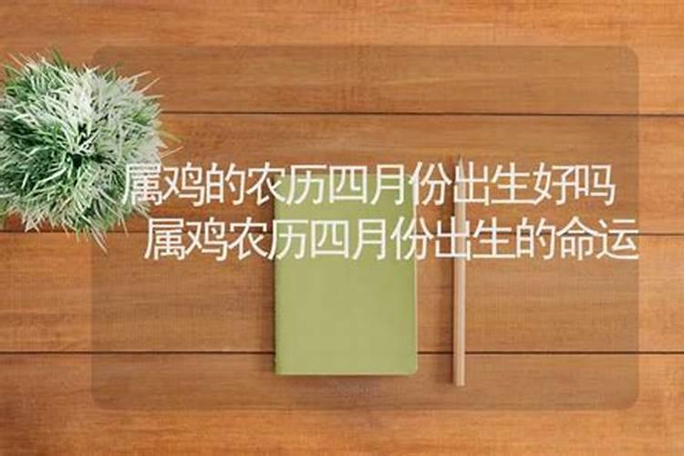 2025年犯太岁的生肖蛇怎么化解 2025年犯太岁的生肖蛇怎么躲星