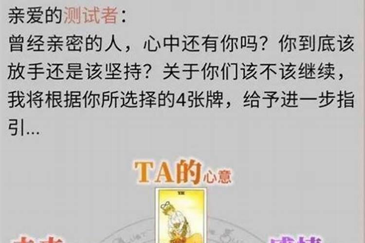 几月猪最有福气 几月的猪最苦命