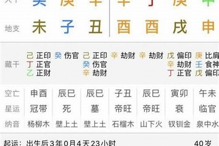 丁巳日详解